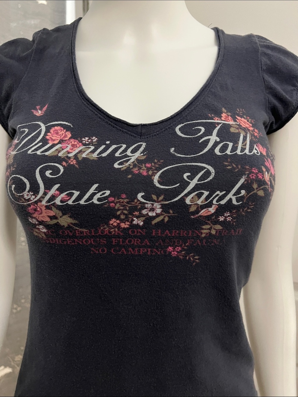 Blue Short Sleeve V-Neck Floral Graphic Tee - Dunning Falls State Park Size S